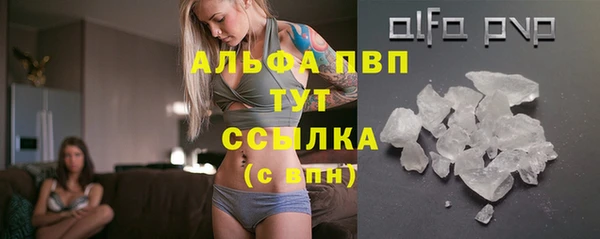 мескалин Богданович