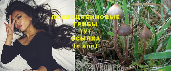 скорость Богородицк